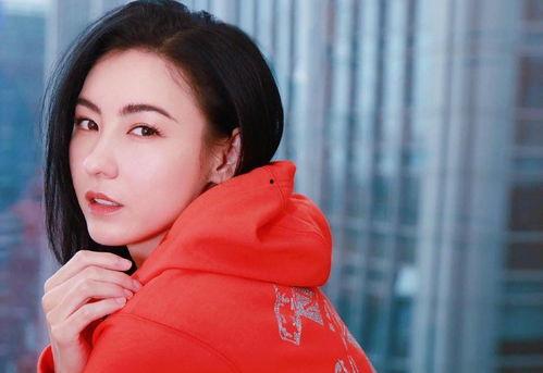 张柏芝照片图片大全,美丽瞬间,永恒回忆 第3张 张柏芝照片图片大全,美丽瞬间,永恒回忆 第3张