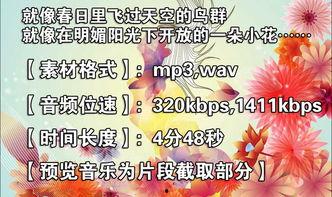 演讲欢快的背景音乐,共赴欢乐盛宴  第2张