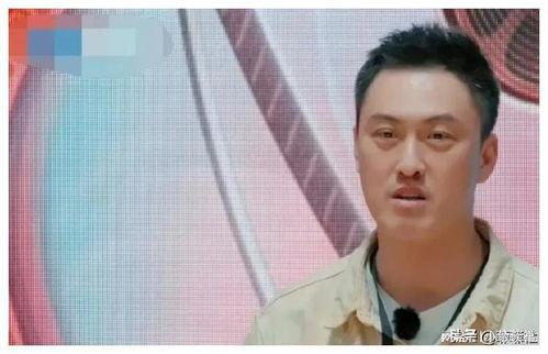 娱乐圈吃瓜怎么说,揭秘明星背后的故事与真相 第3张 娱乐圈吃瓜怎么说,揭秘明星背后的故事与真相 第3张