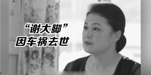 娱乐圈的吃瓜影帝贫道,娱乐圈的吃瓜传奇 第2张 娱乐圈的吃瓜影帝贫道,娱乐圈的吃瓜传奇 第2张