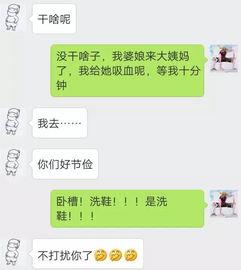 甲已搞笑对话,欢乐瞬间，笑点连连  第3张