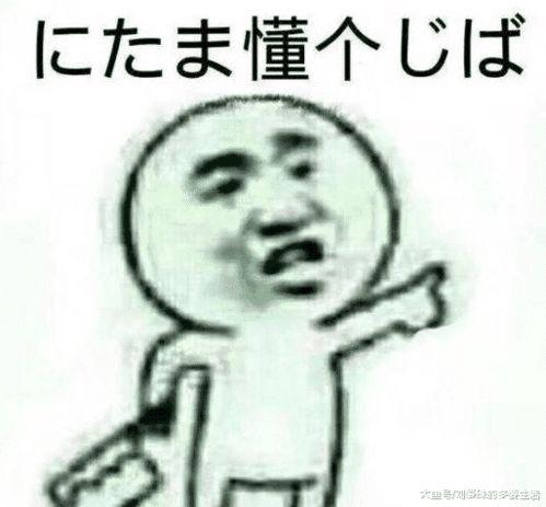 音乐老师表情包,乐韵飞扬，笑点连连